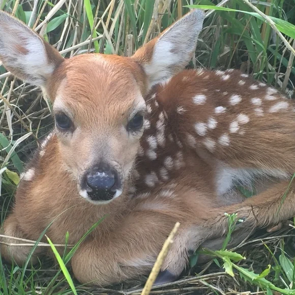 $ - Picture 10 of 16